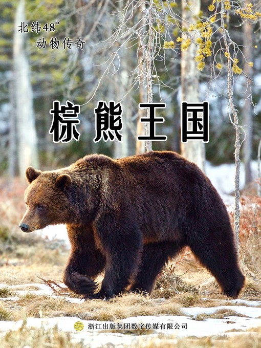 Title details for 棕熊王国 (The Kingdom of Brown Bear) by 陈彦斌 - Available